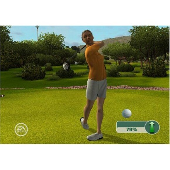 Tiger Woods PGA Tour 09 All-Play Nintendo Wii Game Complete Case Manual Tested - Picture 7 of 8